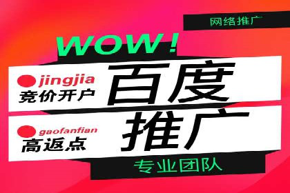 某某sem公司成功案例分享：从零到一的营销策略